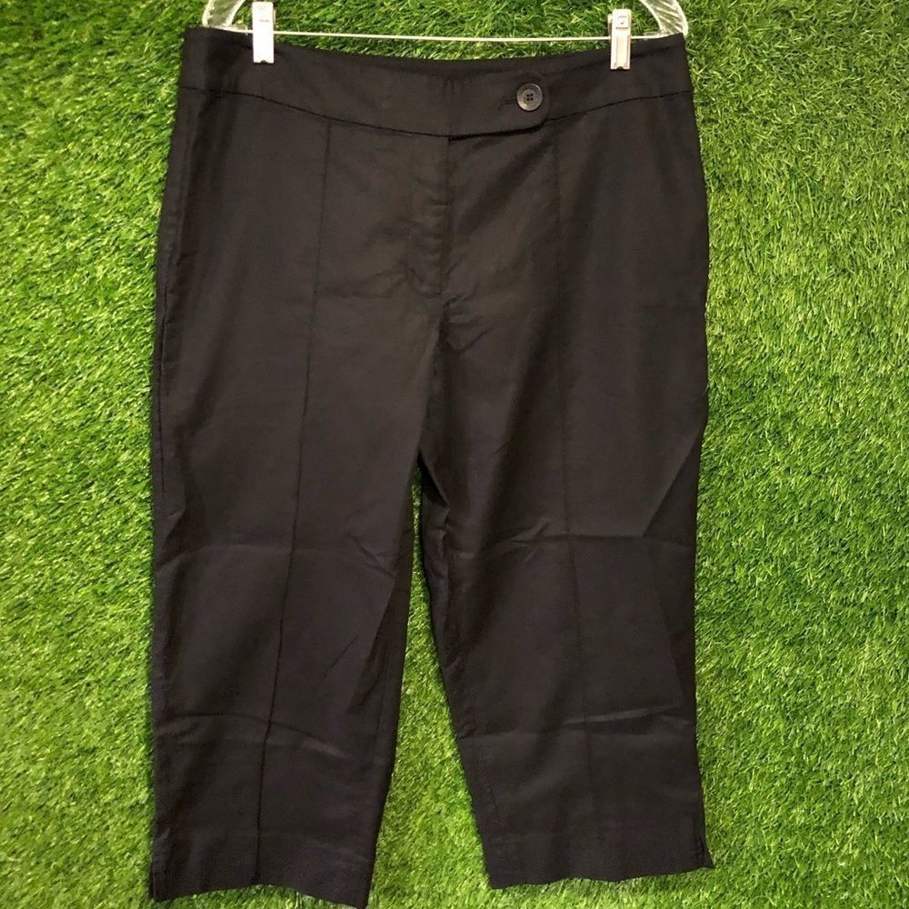 WHBM Dressy Cropped Pants